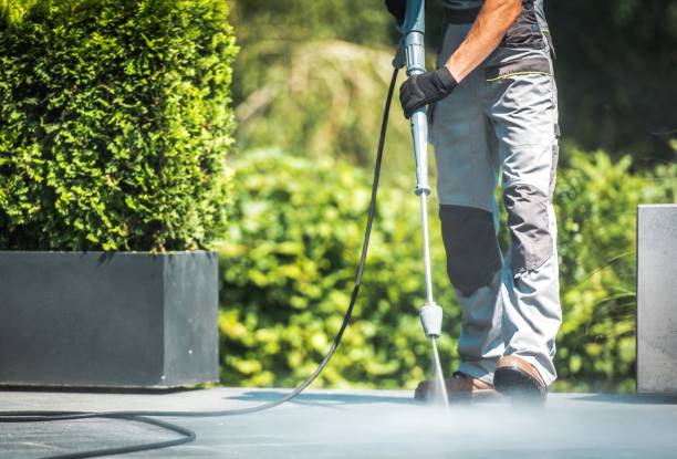 Best Roof Washing  in Monona, IA